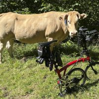 Hmm, but do you have to pedal twice as much with such small wheels ? Hmm, but do you have to pedal twice as much with such small wheels ?