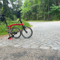 Cobbles ??? Bring back Madame Guillotine Cobbles ??? Bring back Madame Guillotine